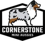 Cornerstone Mini Aussies Logo
